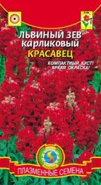 Львиный зев (Антирринум) Красавец карликовый 0,02г цветной пакет Плазменные семена