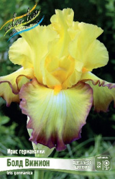 Ирис германский Болд Вижион 1шт. Colorline