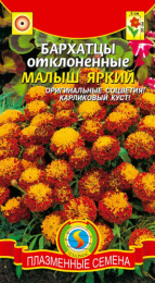 Бархатцы отклоненные (Тагетес) Малыш яркий 30шт. цветной пакет Плазменные семена