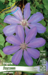 Клематис Лоусония 2шт. Colorline