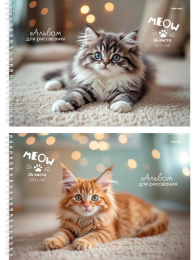 Альбом для рисования 24 листа Милые котята, гребень 24-8562