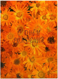 Папка адресная С Днем рождения Оранжевые цветы, ламинированная (пухлая) ПЛ 4003-06, 4262