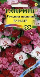 Гвоздика перистая Варьете смесь 0,1г цветной пакет серия Альпийская горка Гавриш