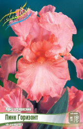 Ирис германский Пинк Горизонт 1шт. Colorline