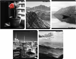 Тетрадь  48 листов Lamark Черно-белые 1 128/00134975  4824-45