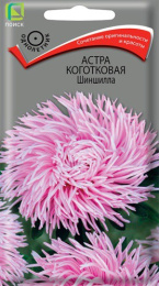 Астра Шиншилла коготковая 0,3г цветной пакет Поиск