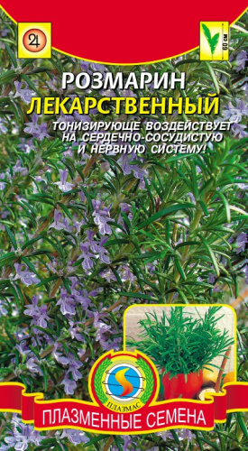 Розмарин Лекарственный 20шт. цветной пакет Плазменные семена