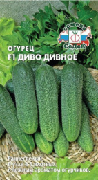 Огурец Диво Дивное F1 0,2г цветной пакет Седек