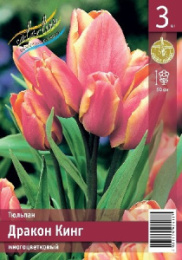 Тюльпан Дракон Кинг  3шт. Эконом Colorline