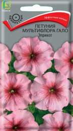 Петуния Гало Эприкот мультифлора 10шт. цветной пакет Поиск