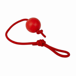 Игрушка для собак Мяч на веревке Tails Time ТТ54166