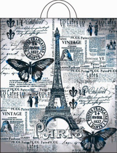 Пакет подарочный ПВД петлевой 38х42см 40мкм Парижский день ПР3842ПД