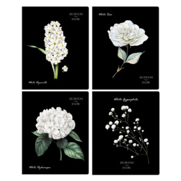 Тетрадь  48 листов BG Blossom in Snow Т5ск48_БЛ 12259