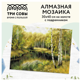 Алмазная мозаика на подрамнике 30х40см Летний пейзаж Три совы АМП3040_47592