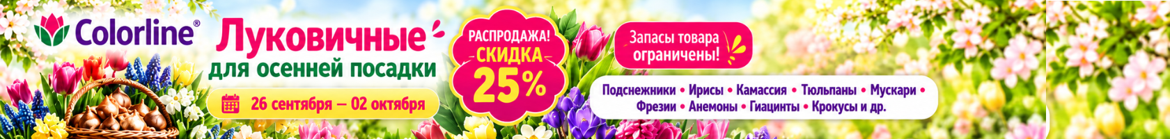 ЛУКОВИЧНЫЕ. РАСПРОДАЖА.