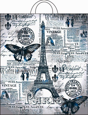 Пакет подарочный ПВД петлевой 38х42см 40мкм Парижский день ПР3842ПД