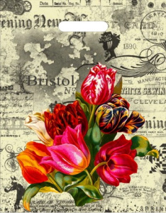 Пакет подарочный ПВД 30х40см 35мкм Бристоль ПВ3040БР