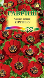 Адонис Керубино летний 0,1г цветной пакет Гавриш