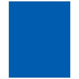 Тетрадь  48 листов Синяя 13979