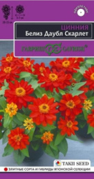 Цинния Белиз даубл скарлет 5шт. цветной пакет серия Эксклюзив Гавриш
