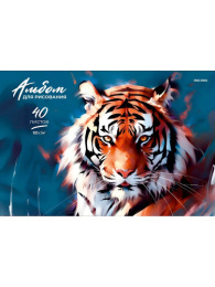 Альбом для рисования 40 листов Тигр-1, склейка 40-7727