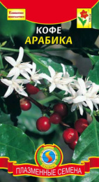 Кофе Арабика 2шт. цветной пакет Плазменные семена