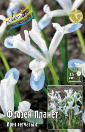 Ирис сетчатый Фрозен Планет  7шт. Colorline