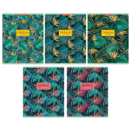 Тетрадь  80 листов Стрелиция 13191/5