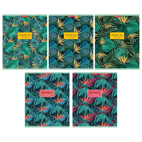 Тетрадь  80 листов Стрелиция 13191/5