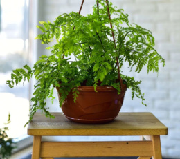 Кашпо подвесное пластиковое Венеция с поддоном d-28,5см 6,0л терракотовый 5plast 5PL0357