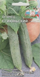 Огурец Июньский F1 0,2г цветной пакет Седек