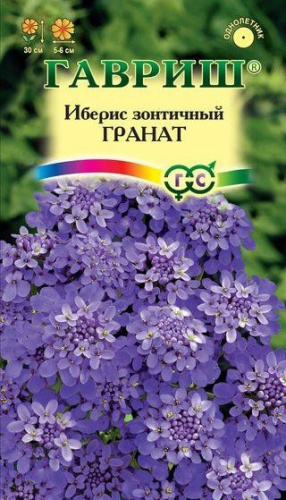 Иберис Гранат 0,1г цветной пакет Гавриш
