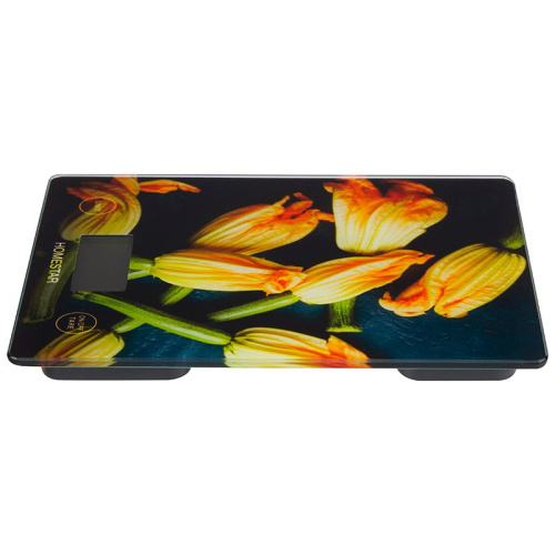 Весы кухонные электронные до  7кг HS-3015В, стеклянные HomeStar 110057