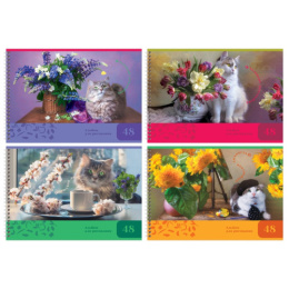 Альбом для рисования 48 листов BG Творческая личность, гребень АР4гр48 11847