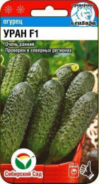 Огурец Уран F1 5шт. цветной пакет Сибирский сад