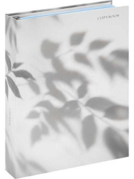 Тетрадь 120 листов Нежные ромашки, на кольцах Т120-9172