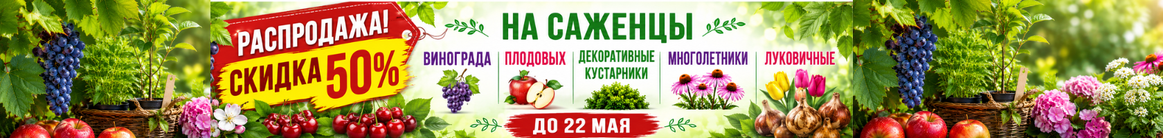 Распродажа кустарники, луковичные, виноград