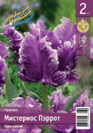 Тюльпан Мистериос Пэррот 2шт. Эконом Colorline