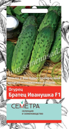 Огурец Братец Иванушка F1 0,5г цветной пакет серия Семетра Поиск
