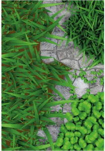 Эспарцет Розовый 89 (медонос) 0,5кг Гавриш