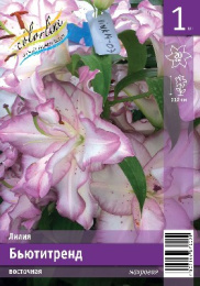 Лилия Бьютитренд 14/16 1шт. Эконом (ORD) Colorline