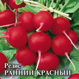 Редис Ранний красный 25г фермерский пакет Гавриш