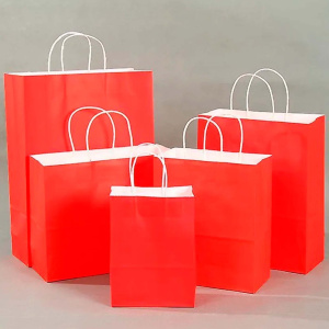 Пакет подарочный бумажный 15х21х8см Радужный Дом РД21461