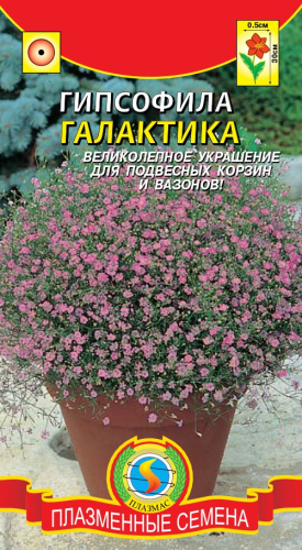 Гипсофила Галактика 0,005г цветной пакет Плазменные семена