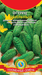 Огурец Обильный 12шт. цветной пакет Плазменные семена