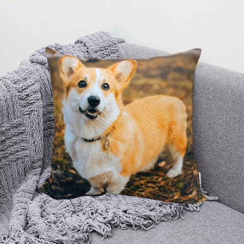 Подушка 40х40см габардин, поплин Корги ДомВелл 