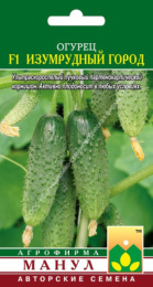 Огурец Изумрудный город F1 10шт. цветной пакет Манул