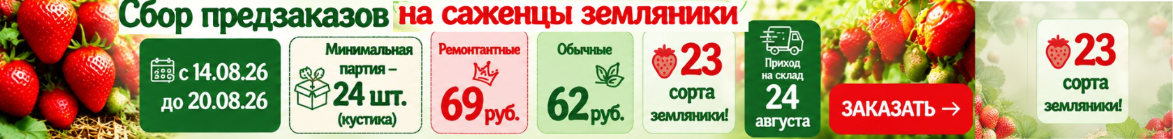 Предзаказ. Земляника. 23 сорта
