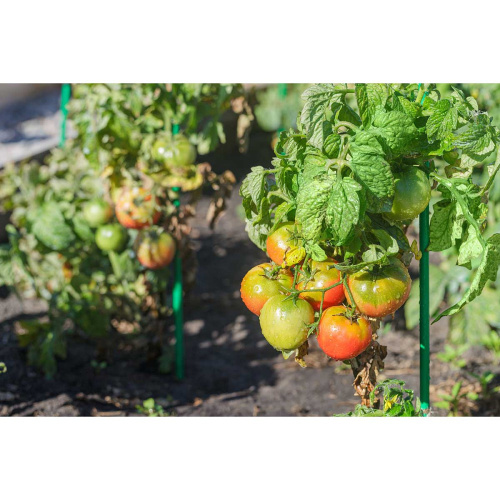 Колышек металлический 1,2м, труба 10мм Садовита