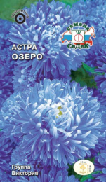 Астра Озеро, карликовая королевская голубая 0,1г цветной пакет Седек